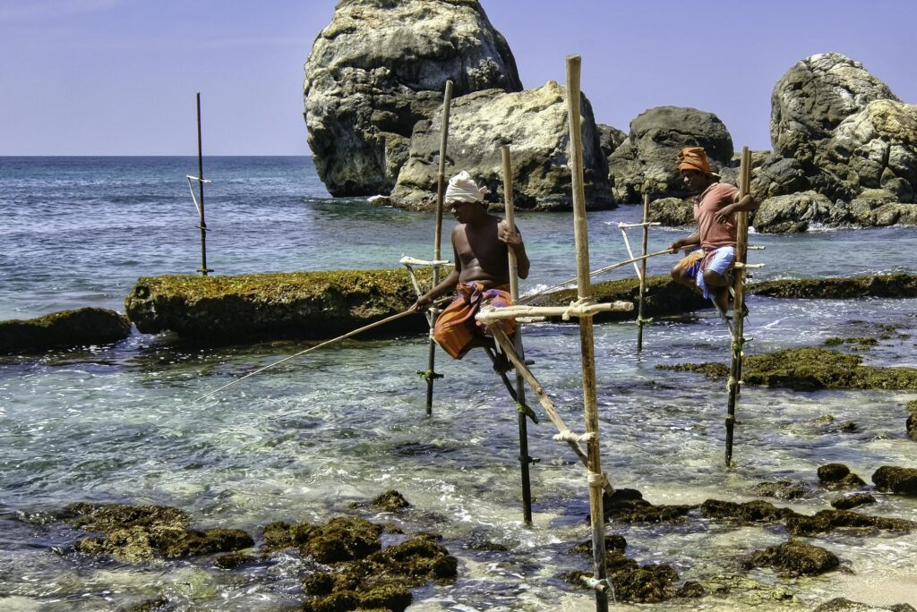 Stilt fishermen engaging in traditional fishing practice along Weligama's scenic coast, Sri Lanka.
